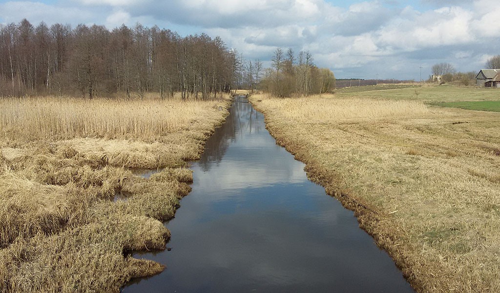 Rzeka Jastrzębianka.