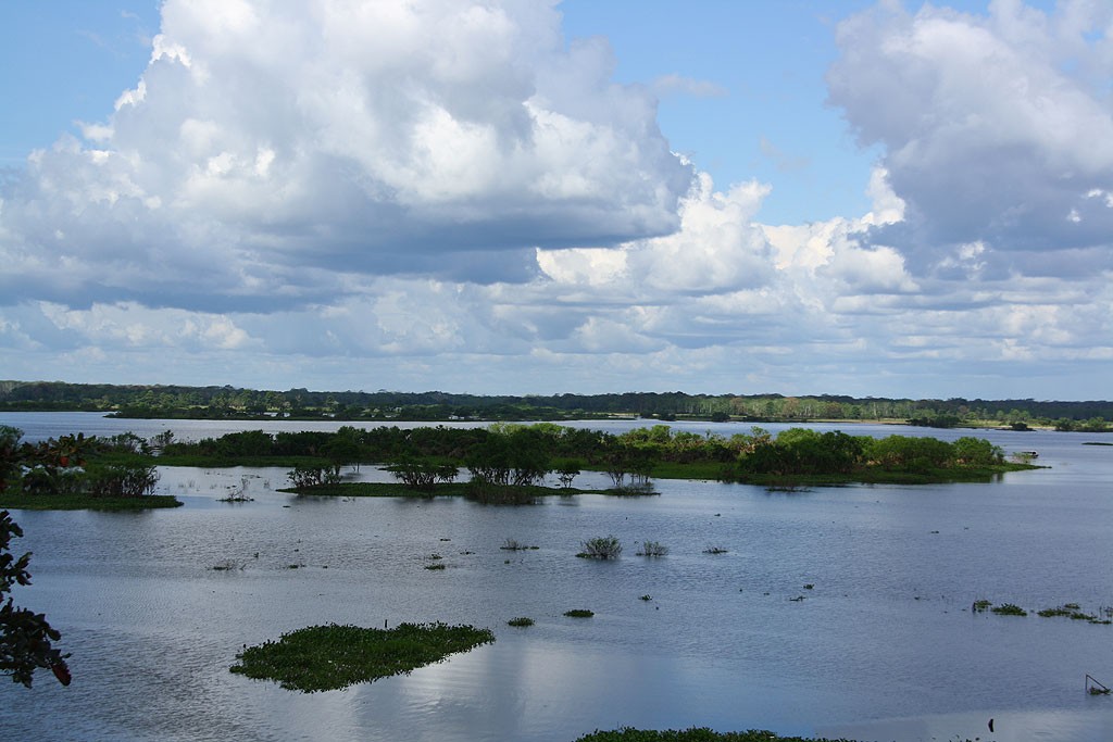 Widok z centrum Iquitos na rozlewiska Rio Itaya