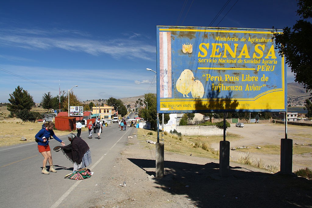 "Peru, kraj wolny od ptasiej grypy"