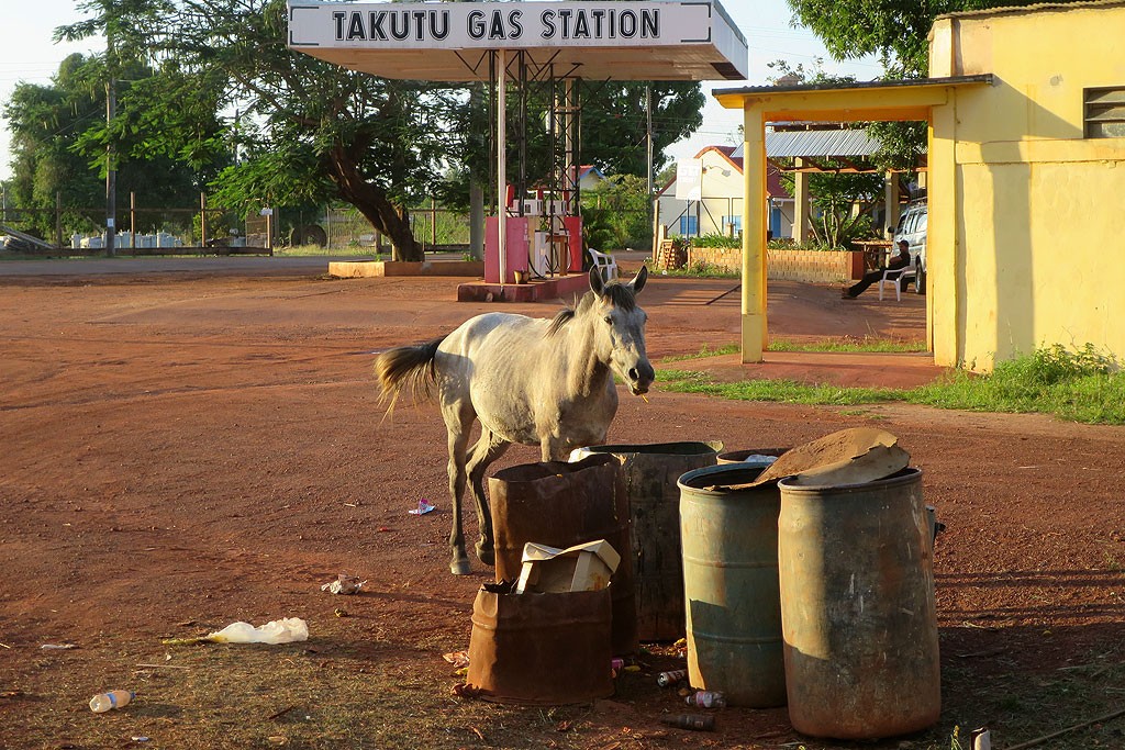 Takutu runs a hotel and a gas station, used by both cars and horses