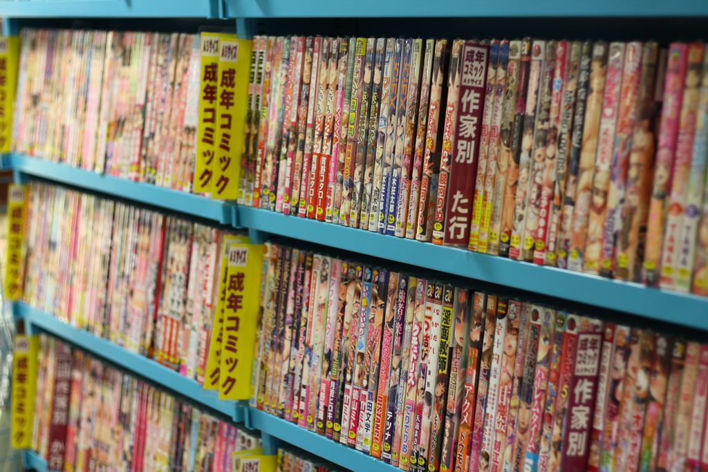 Szóste piętro sklepu w Akihabarze, gdzie sprzedaje się wszelkie rodzaje mangi. Tutaj: półki pełne komiksów "dla dorosłych".
