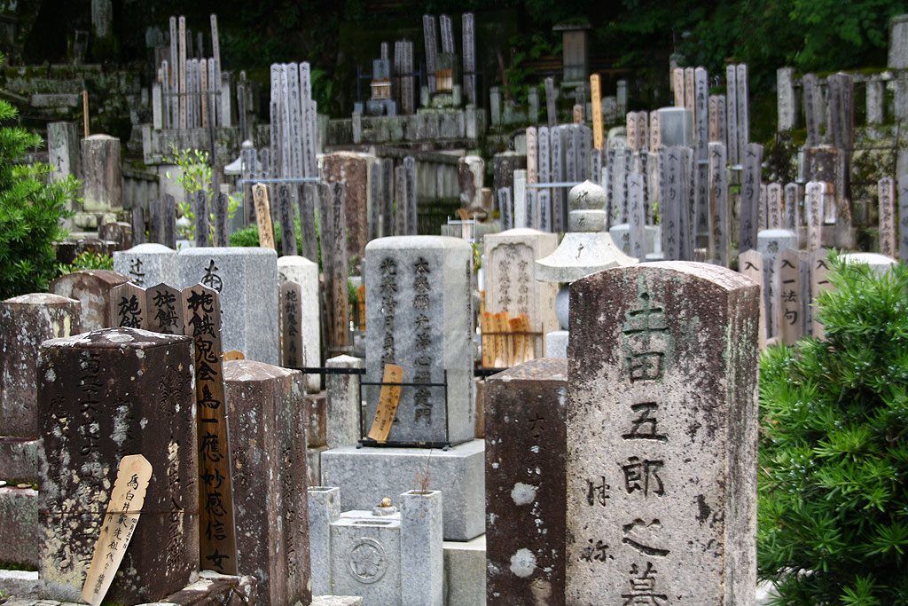 Japoński cmentarz. Pierwsze skojarzenie z daleka - kto ustawił tu tyle par nart obok siebie?
